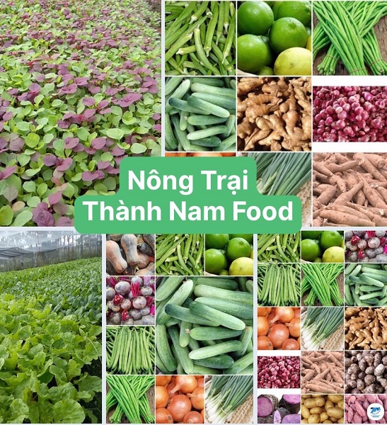 Rau củ quả - Thực Phẩm Thành Nam - Công Ty TNHH MTV Nông Lâm Sản Thành Nam